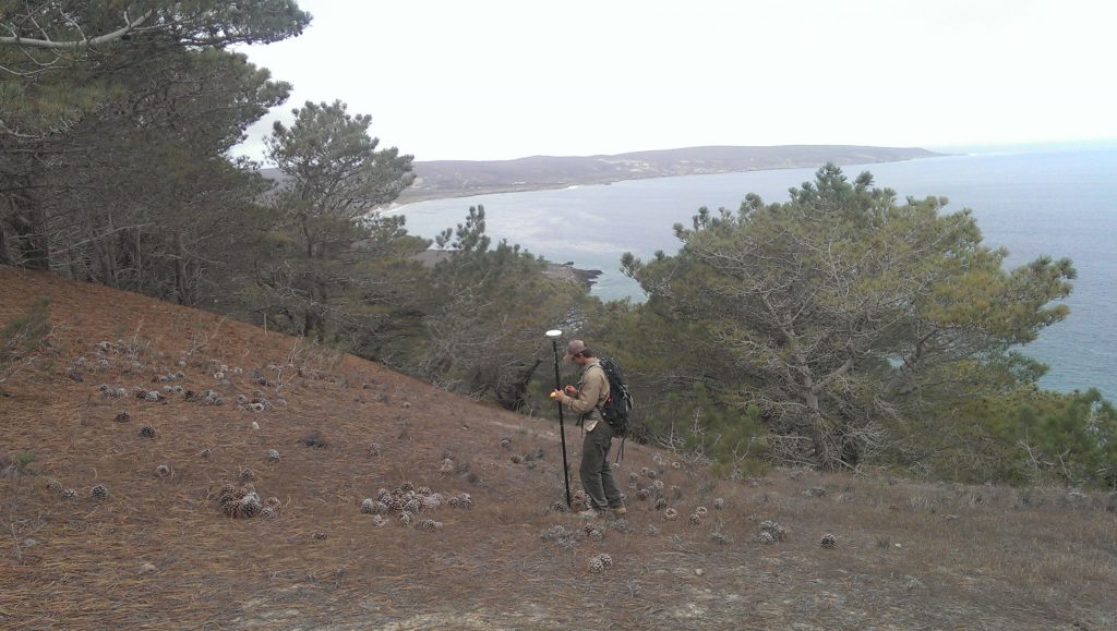 Mapping tree distribution with a submeter GPS in January of 2015 on the western slope of Kendall Mountain, Santa Rosa Islands, CA.